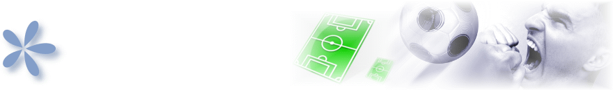 Fussball Wm 2010